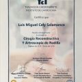 Acercar imagen: certificate 3