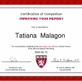 Acercar imagen: certificate 3