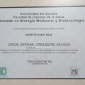 Acercar imagen: certificate 5
