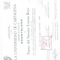 Acercar imagen: certificate 17