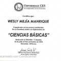 Acercar imagen: certificate 5