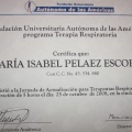 Acercar imagen: certificate 28