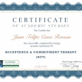 Acercar imagen: certificate 7