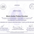 Acercar imagen: certificate 19
