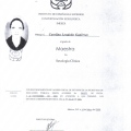 Acercar imagen: certificate 4