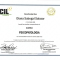Acercar imagen: certificate 2
