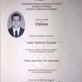 Acercar imagen: certificate 5