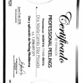 Acercar imagen: certificate 1