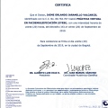 Acercar imagen: certificate 5