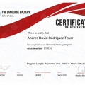 Acercar imagen: certificate 6