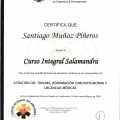 Acercar imagen: certificate 9