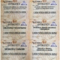 Acercar imagen: certificate 9