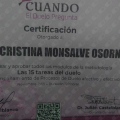 Acercar imagen: certificate 2