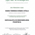 Acercar imagen: certificate 3