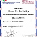 Acercar imagen: certificate 19