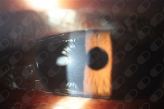 Vivian Liliana Vera Diaz-6