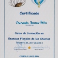 Acercar imagen: certificate 5