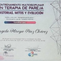 Acercar imagen: certificate 17