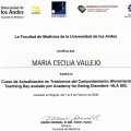 Acercar imagen: certificate 22