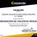 Acercar imagen: certificate 31