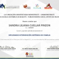 Acercar imagen: certificate 3