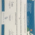 Acercar imagen: certificate 17