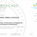 Acercar imagen: certificate 9