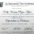 Acercar imagen: certificate 17
