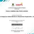 Acercar imagen: certificate 14