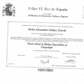 Acercar imagen: certificate 14