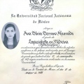 Acercar imagen: certificate 3