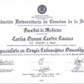 Acercar imagen: certificate 2
