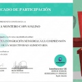 Acercar imagen: certificate 3