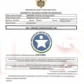 Acercar imagen: certificate 6