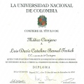 Acercar imagen: certificate 5