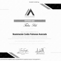 Acercar imagen: certificate 4