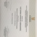 Acercar imagen: certificate 9