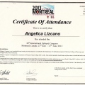 Acercar imagen: certificate 24