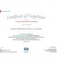 Acercar imagen: certificate 2