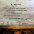 Acercar imagen: certificate 1