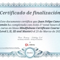 Acercar imagen: certificate 10