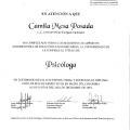 Acercar imagen: certificate 1