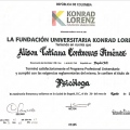 Acercar imagen: certificate 1