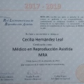 Acercar imagen: certificate 2