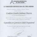 Acercar imagen: certificate 3