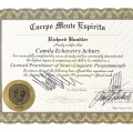 Acercar imagen: certificate 14