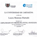 Acercar imagen: certificate 2