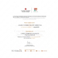 Acercar imagen: certificate 8