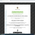 Acercar imagen: certificate 3