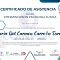 Acercar imagen: certificate 2